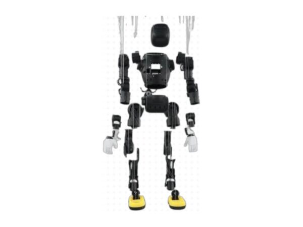 Embodied Humanoid Robot