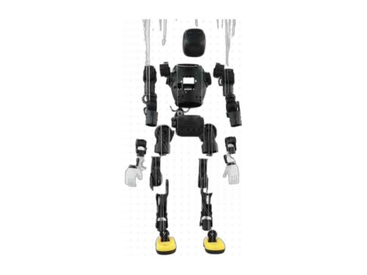embodied humanoid robot Embodied Humanoid Robot