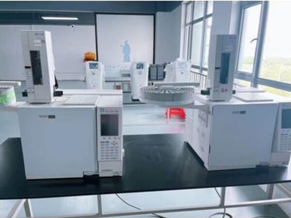 Gas Chromatograph (GC)